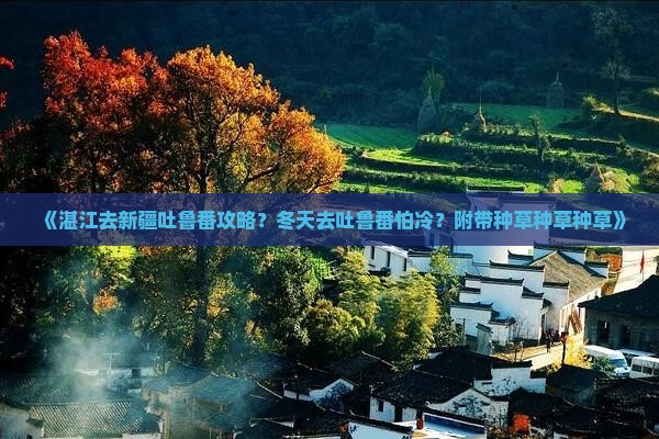 《湛江去新疆吐鲁番攻略？冬天去吐鲁番怕冷？附带种草种草种草》