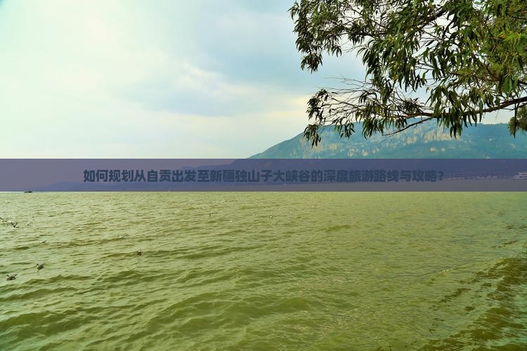 如何规划从自贡出发至新疆独山子大峡谷的深度旅游路线与攻略？