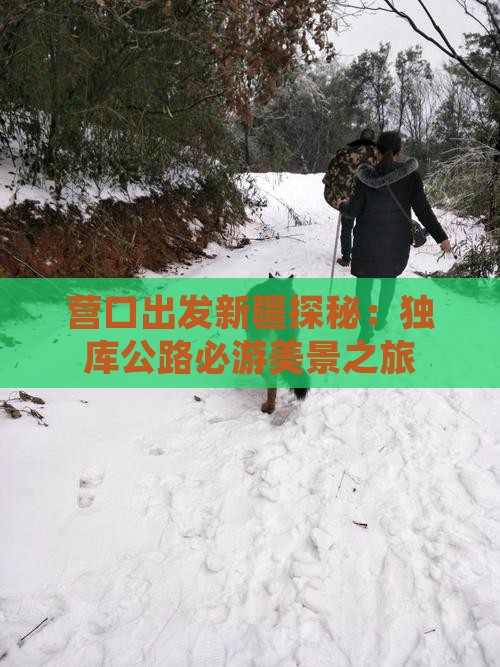 营口出发新疆探秘：独库公路必游美景之旅