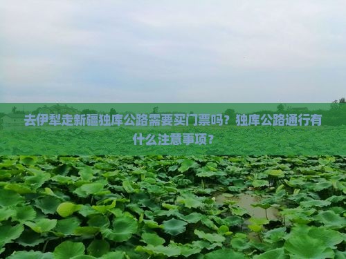 去伊犁走新疆独库公路需要买门票吗？独库公路通行有什么注意事项？