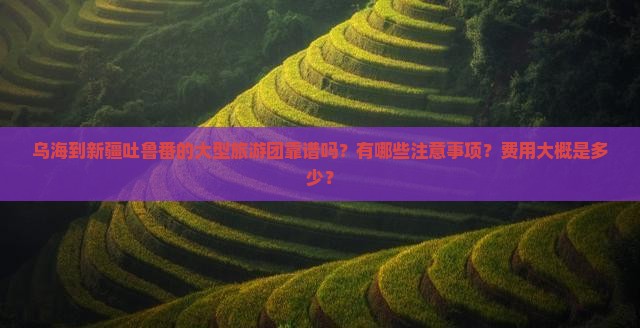 乌海到新疆吐鲁番的大型旅游团靠谱吗？有哪些注意事项？费用大概是多少？