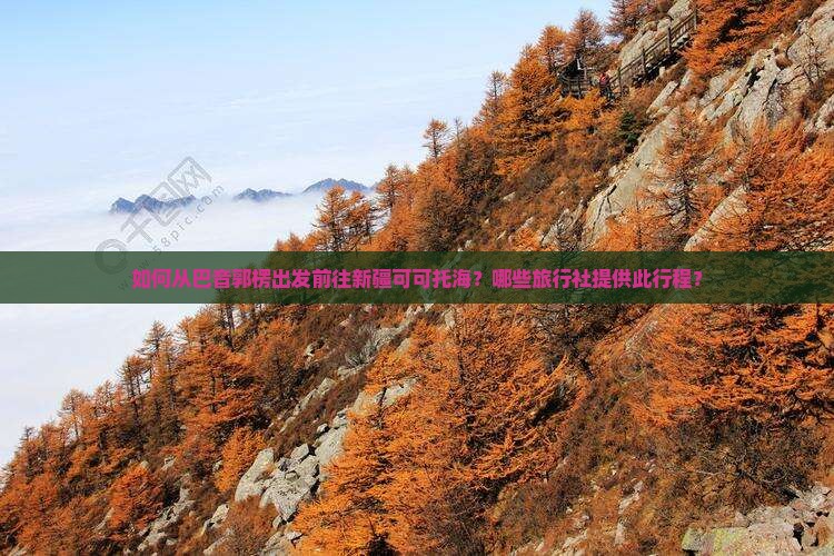 如何从巴音郭楞出发前往新疆可可托海？哪些旅行社提供此行程？