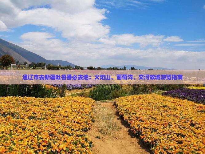 通辽市去新疆吐鲁番必去地：火焰山、葡萄沟、交河故城游览指南