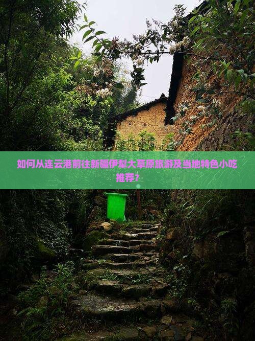 如何从连云港前往新疆伊犁大草原旅游及当地特色小吃推荐？