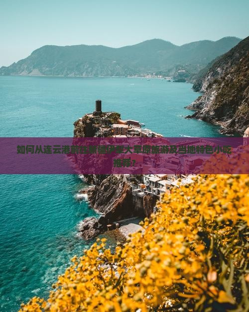 如何从连云港前往新疆伊犁大草原旅游及当地特色小吃推荐？