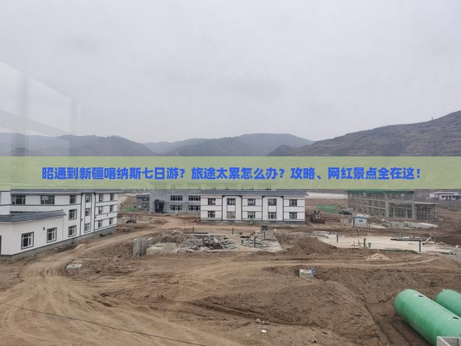 昭通到新疆喀纳斯七日游？旅途太累怎么办？攻略、网红景点全在这！