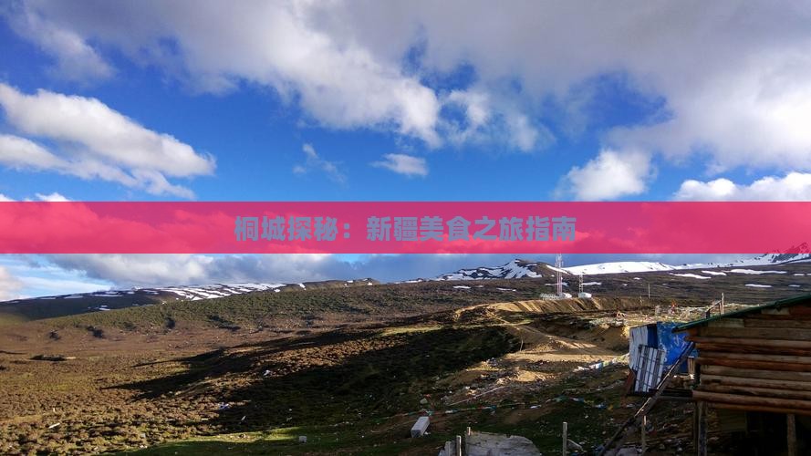 桐城探秘：新疆美食之旅指南