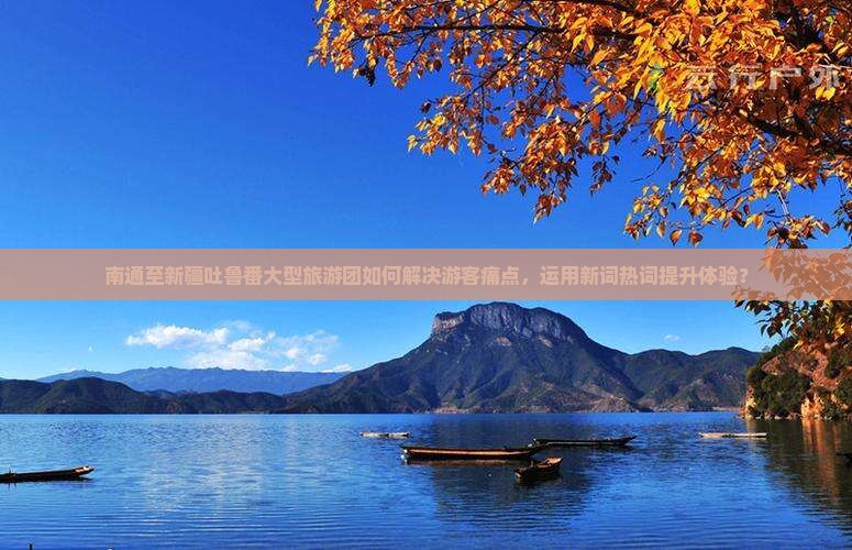南通至新疆吐鲁番大型旅游团如何解决游客痛点，运用新词热词提升体验？