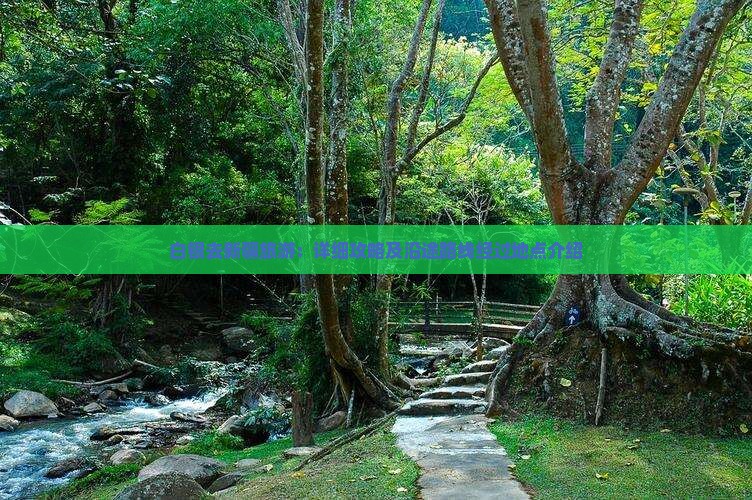 白银去新疆旅游：详细攻略及沿途路线经过地点介绍