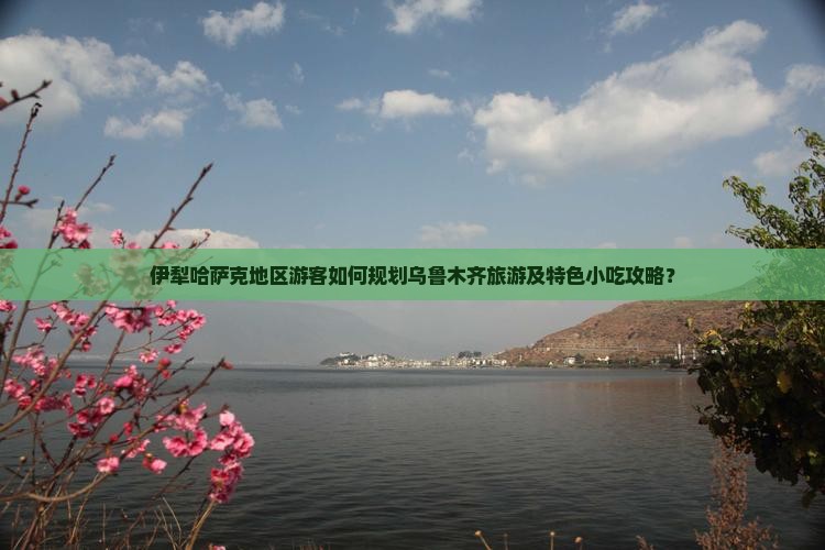 伊犁哈萨克地区游客如何规划乌鲁木齐旅游及特色小吃攻略？