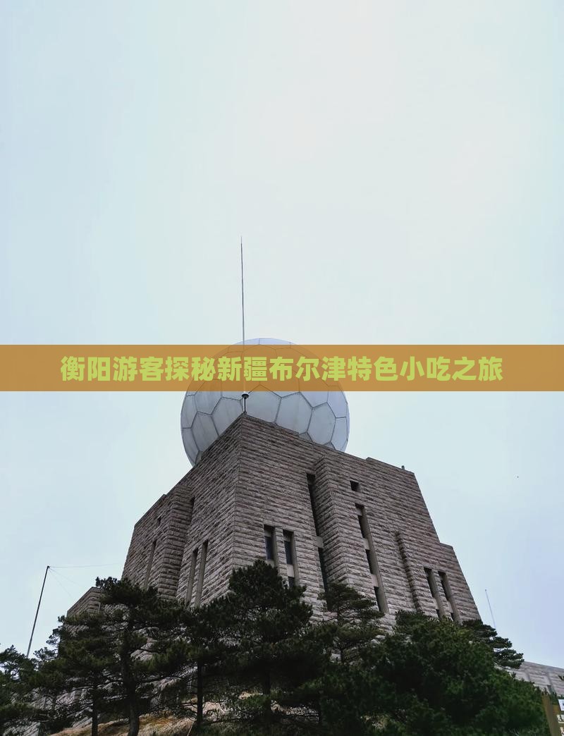 衡阳游客探秘新疆布尔津特色小吃之旅