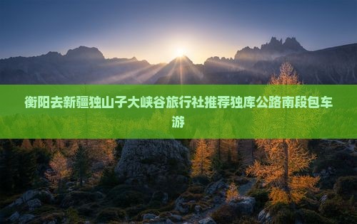 衡阳去新疆独山子大峡谷旅行社推荐独库公路南段包车游