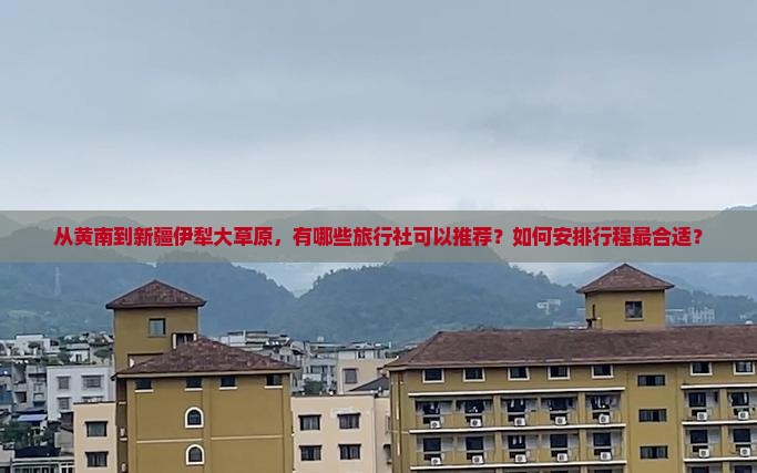 从黄南到新疆伊犁大草原，有哪些旅行社可以推荐？如何安排行程最合适？