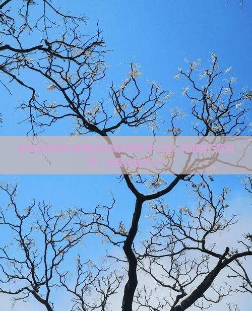 新余去新疆吐鲁番团体旅游需要多少钱？有哪些行程推荐？需要注意什么？