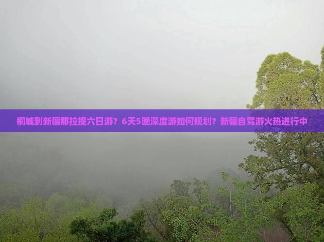 桐城到新疆那拉提六日游？6天5晚深度游如何规划？新疆自驾游火热进行中