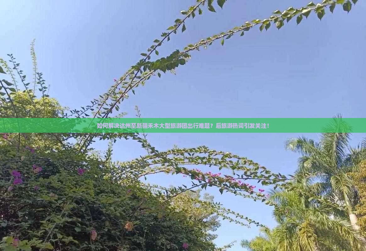 如何解决达州至新疆禾木大型旅游团出行难题？后旅游热词引发关注！