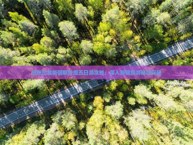 沧州出发新疆那拉提五日游攻略：深入新疆旅游秘境探秘