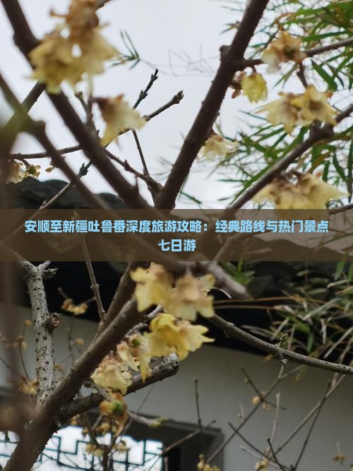 安顺至新疆吐鲁番深度旅游攻略：经典路线与热门景点七日游