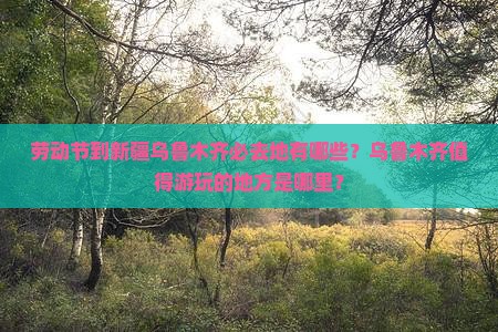 劳动节到新疆乌鲁木齐必去地有哪些？乌鲁木齐值得游玩的地方是哪里？