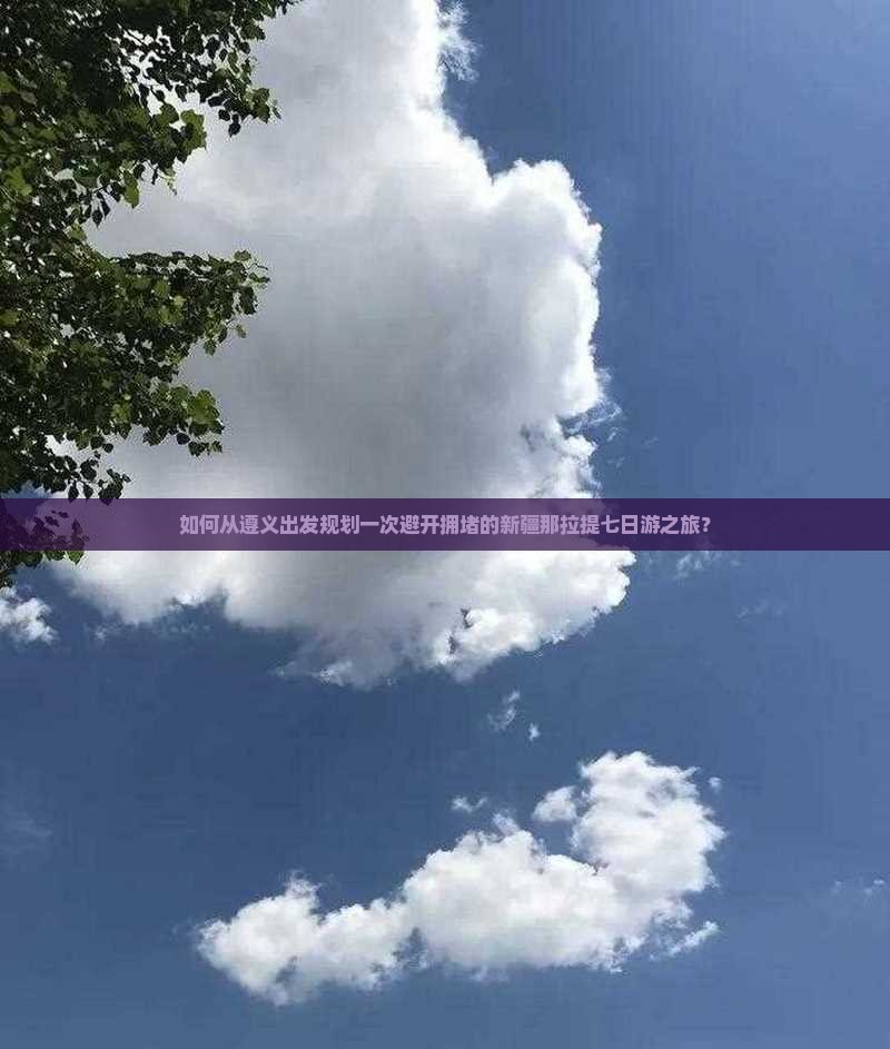 如何从遵义出发规划一次避开拥堵的新疆那拉提七日游之旅？