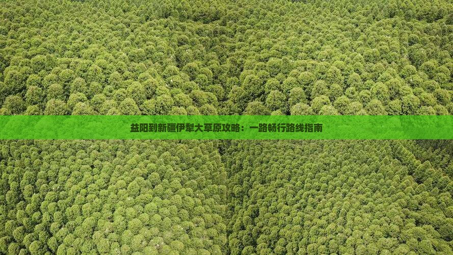 益阳到新疆伊犁大草原攻略：一路畅行路线指南