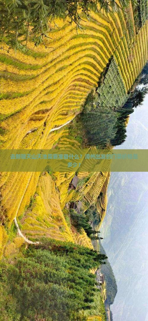 去新疆天山天池需要准备什么？漳州出发的门票价格是多少？