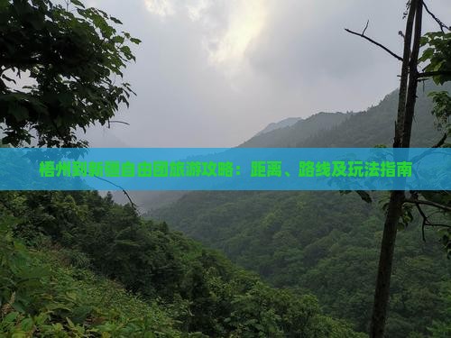 梧州到新疆自由团旅游攻略：距离、路线及玩法指南