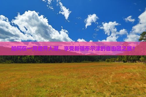 如何在一月避开人潮，享受新疆布尔津的自由团之旅？