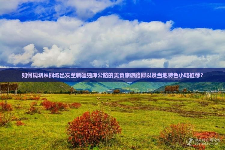 如何规划从桐城出发至新疆独库公路的美食旅游路犀以及当地特色小吃推荐？