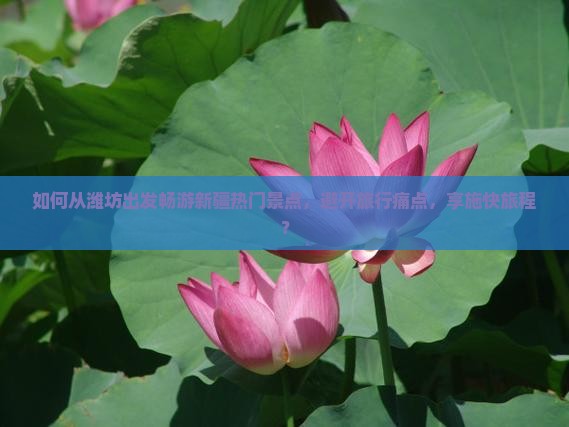 如何从潍坊出发畅游新疆热门景点，避开旅行痛点，享施快旅程？