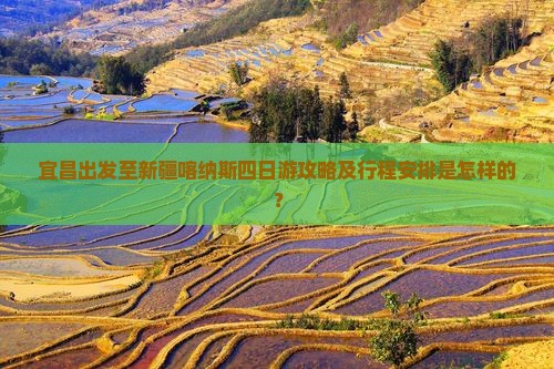 宜昌出发至新疆喀纳斯四日游攻略及行程安排是怎样的？