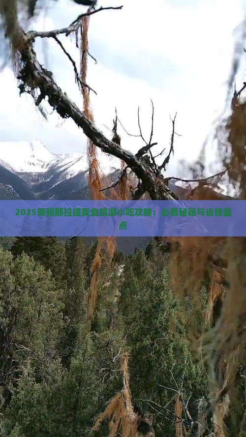 金昌到新疆那拉提旅游小吃