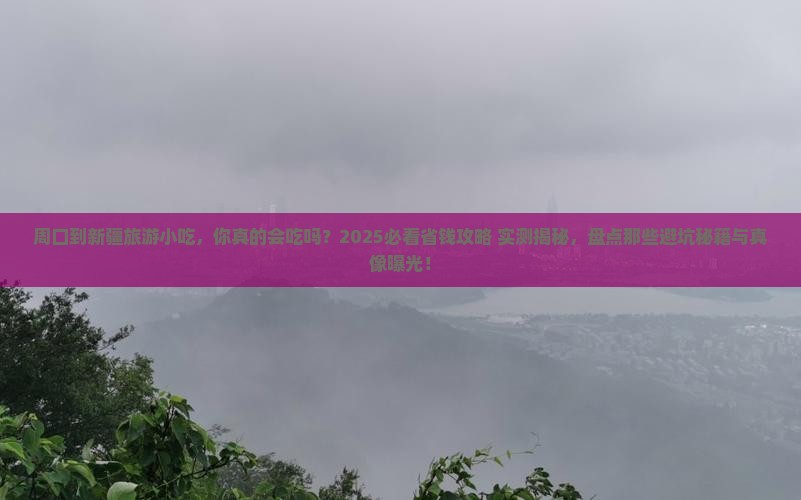 周口到新疆旅游小吃