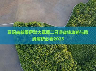 襄阳去新疆伊犁大草原二日游