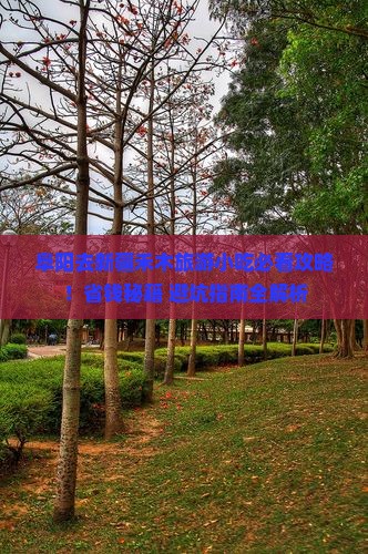 阜阳去新疆禾木旅游小吃