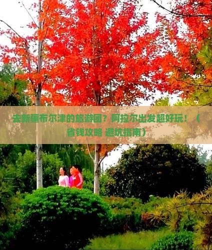 阿拉尔去新疆布尔津大型旅游团