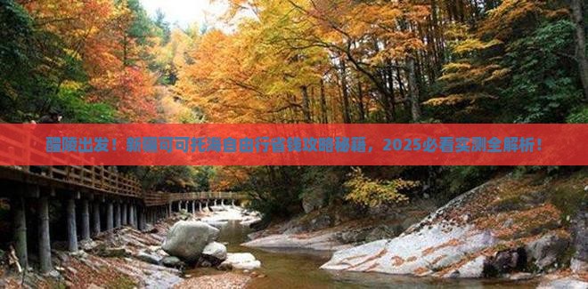醴陵到新疆可可托海自由团