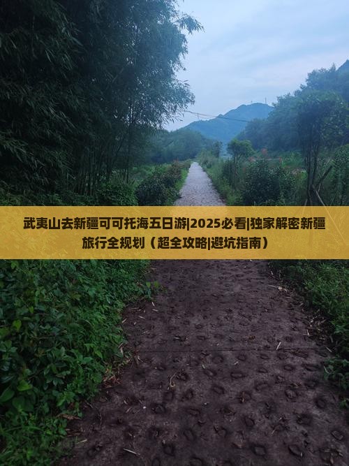 武夷山去新疆可可托海五日游