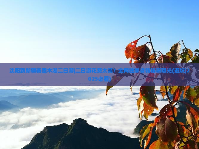 沈阳到新疆赛里木湖二日游