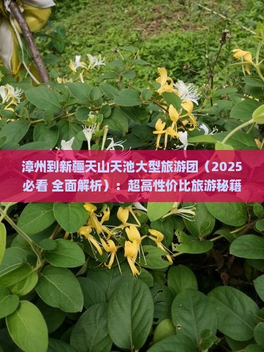 漳州到新疆天山天池大型旅游团