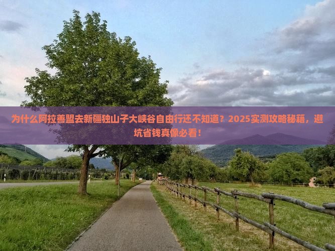 阿拉善盟去新疆独山子大峡谷自由行
