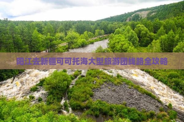 阳江去新疆可可托海大型旅游团