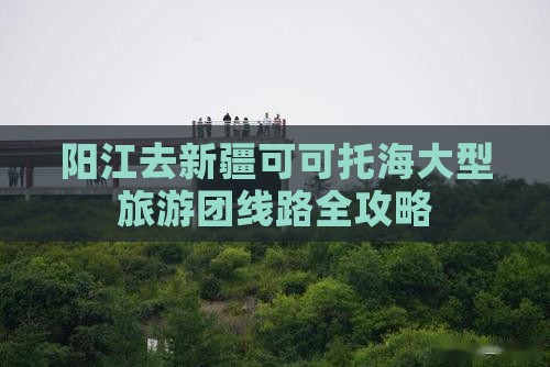 阳江去新疆可可托海大型旅游团