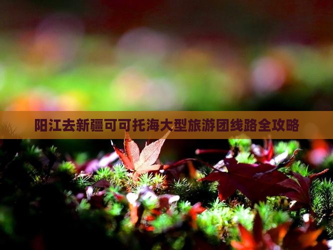 阳江去新疆可可托海大型旅游团