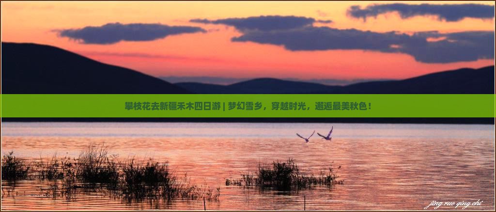 攀枝花去新疆禾木四日游