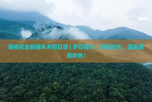 攀枝花去新疆禾木四日游
