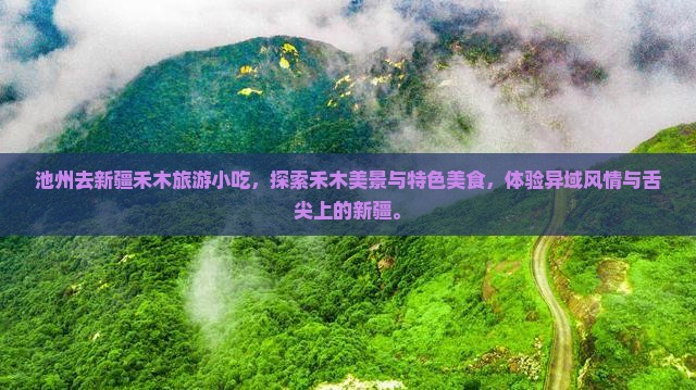 池州去新疆禾木旅游小吃