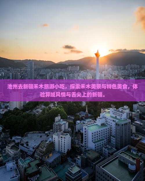 池州去新疆禾木旅游小吃