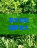 春天到新疆伊犁大草原六日游