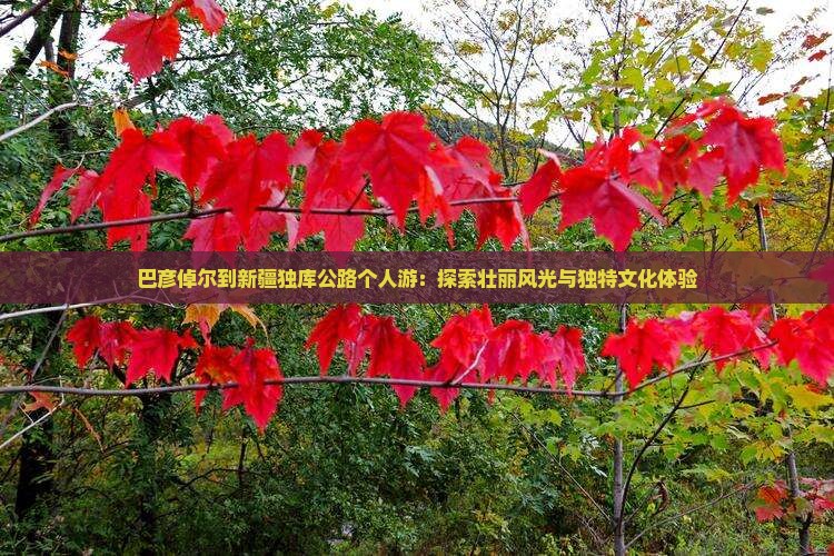 巴彦倬尔到新疆独库公路个人游
